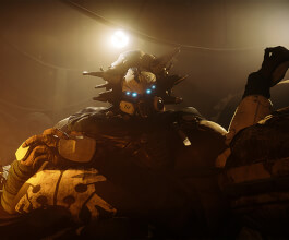 Spider bounties